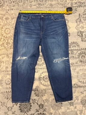 Old Navy High-Rise O.G. Straight Jeans Size 20 Distressed Denim